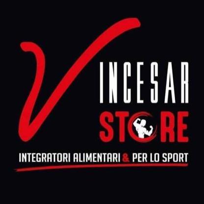 Vincesar Store